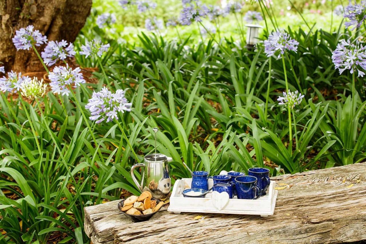 Blue Lily Retreat Bed & Breakfast Matjiesrivier  Exterior photo