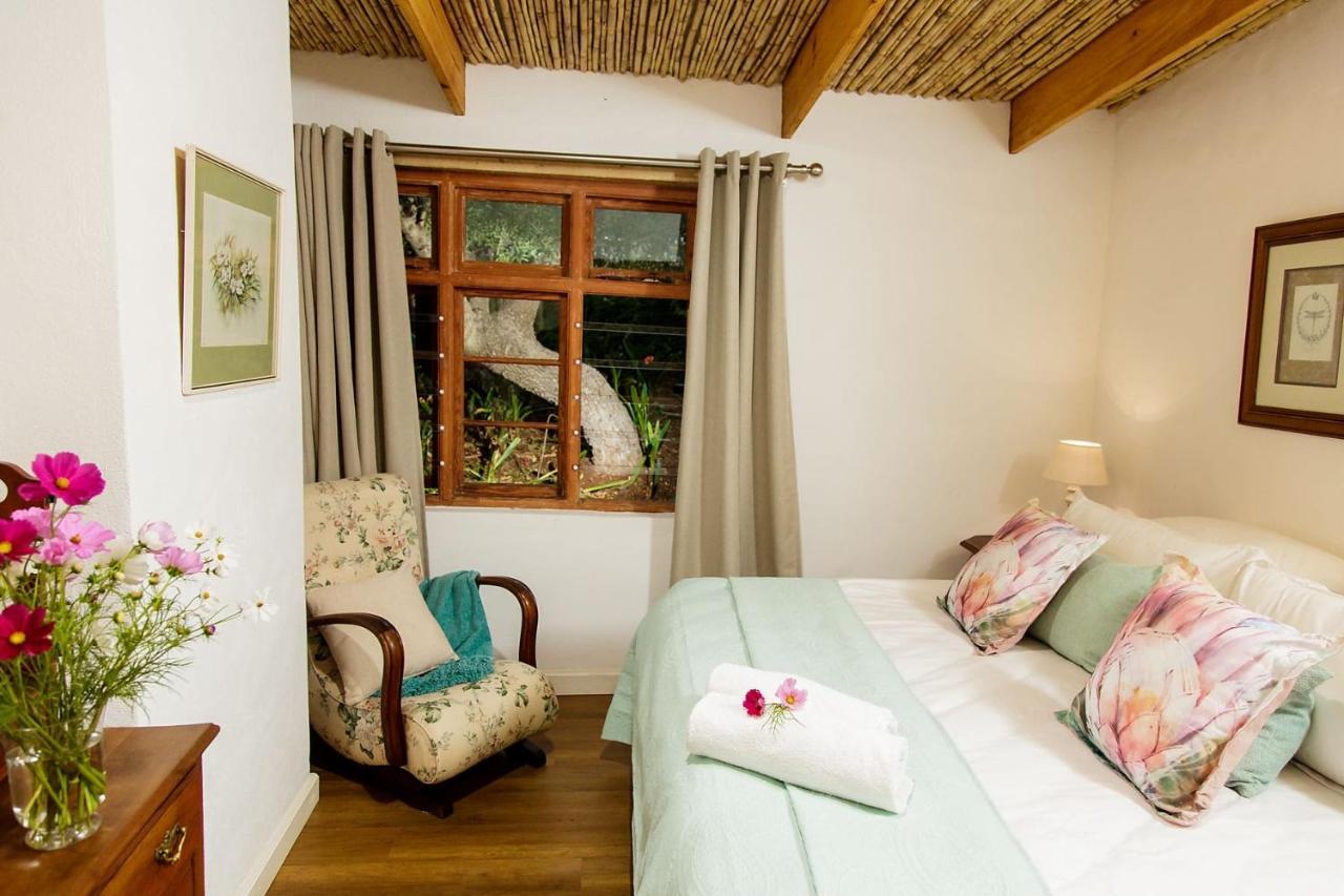 Blue Lily Retreat Bed & Breakfast Matjiesrivier  Exterior photo