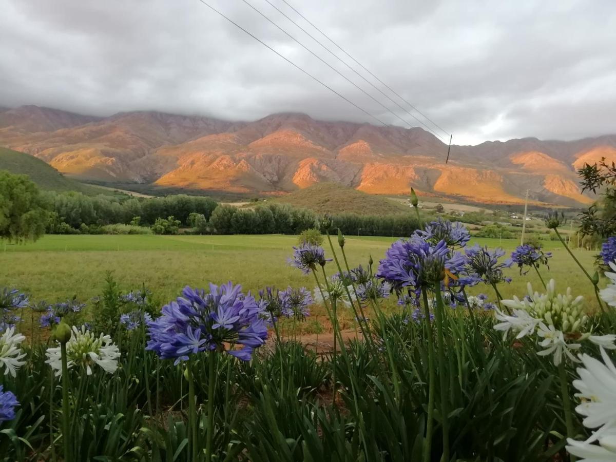 Blue Lily Retreat Bed & Breakfast Matjiesrivier  Exterior photo